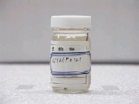 藏品(尖棘甕鰩)的圖片